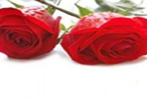 افراد نیازمند به جهیزیه را معرفی کنید
