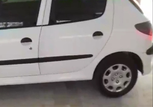 تفاوت قسمت&zwnj;های مختلف یک 206 + فیلم
