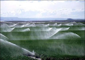اختصاص 20 میلیارد تومان برای توسعه روش های آبیاری