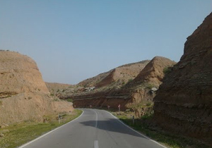 پیچی که جان 24 نفر را گرفته است