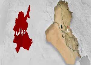 بازداشت یک عامل انتحاری داعش در دیاله