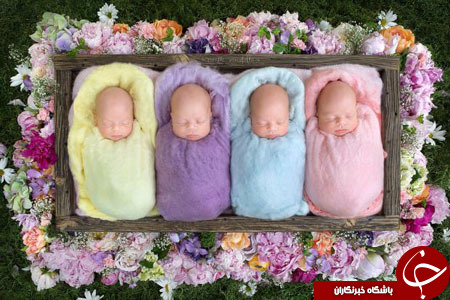 عکاسی طاقت&zwnj;فرسا از چهارقلوهای بندانگشتی+ تصاویر