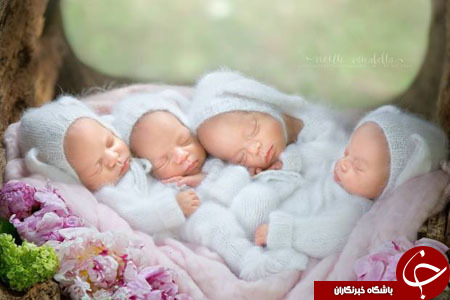عکاسی طاقت&zwnj;فرسا از چهارقلوهای بندانگشتی+ تصاویر