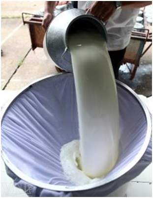 خرید چهار هزار و 900 تن شیر بصورت تضمینی
