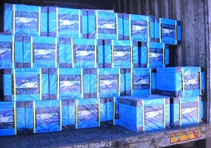 کشف 21 تن چای قاچاق در يزد