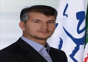 انتقاد نماینده مجلس از نام بردن پتروشیمی شهدای مرودشت به نام شیراز