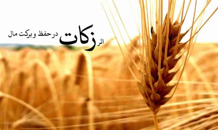 اختصاص 40 درصد زکات کشور به پروژه های عام المنفعه