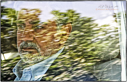 قاتل اهلی