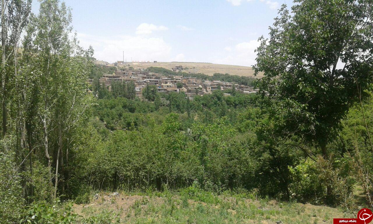 طبیعت زیبا روستای خاکو + تصاویر