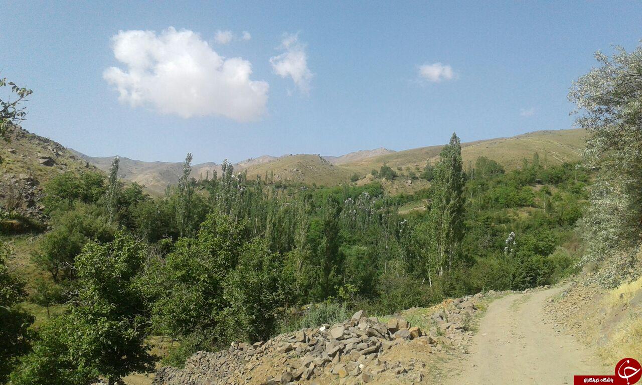 طبیعت زیبا روستای خاکو + تصاویر