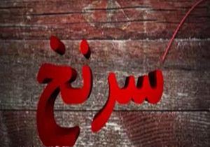 وارداتی که کمر تولیدکننده داخلی را می شکند + فیلم