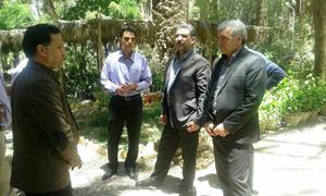 رویکرد کشاورزی در کشور به سمت گیاهان کم آب خواه