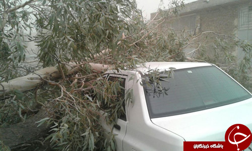 خسارت شدید طوفان در عنبرآباد