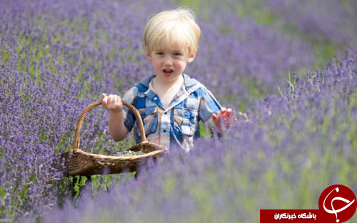 از آغاز همه&zwnj;پرسی در انگلیس تا عروسک بازی آنگلا مرکل