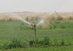 پیشرفت 50 درصدی پروژه آبیاری تحت فشار روستای کلبی بک