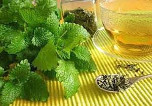 بادرنجبویه ضد افسردگی