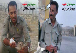 2محیط بان هرمزگان به گلوله شکارچیان جان باختند