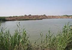 ر‌ها‌سازی آب از سد بالا‌دست رودخانه هندیجان
