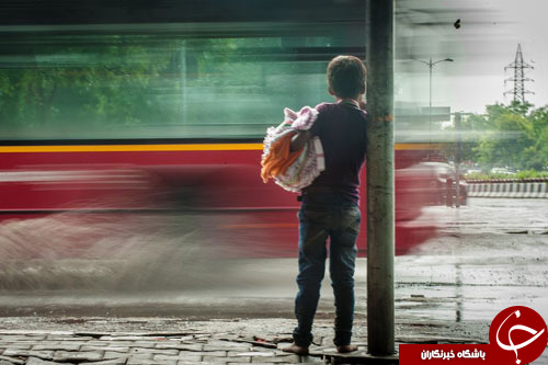 از درخواست کمک یک خرس قطبی تا برگزاری نخستین دوره از مسابقات جهانی معلولان ذهنی