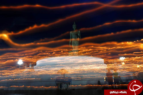 از درخواست کمک یک خرس قطبی تا برگزاری نخستین دوره از مسابقات جهانی معلولان ذهنی