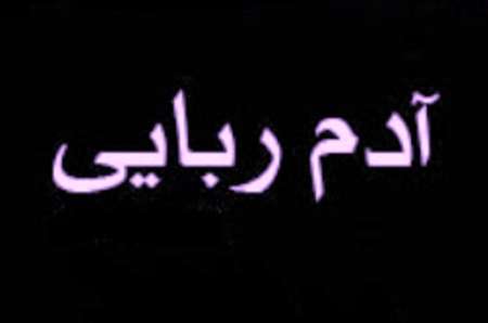 کودک ربوده شده به آغوش مادرش بازگشت