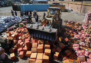 کشف بیش از دو تن میوه قاچاق در بستک