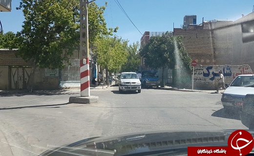 سبز شدن تیرچراغ برق وسط خیابان! + تصویر