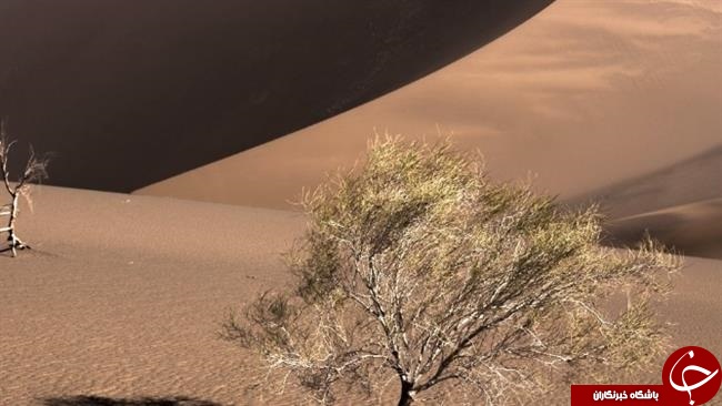 زیبایی های کویر لوت + تصاویر