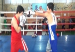 برادران بوشهری ستاره‌های بوکس کشور + فیلم
