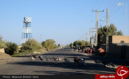 عکس/ سیستان پس از طوفان