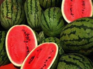پیش بینی برداشت چهار هزار تنی هندوانه در ابرکوه