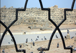 ایجاد کمپین"ما خواهان بازسازی بقیع هستیم" در نمایشگاه بهشت بقیع