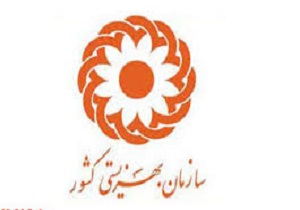 کسب رتبه دوم دبیرخانه شورای عالی سالمندان بهزیستی در کشور