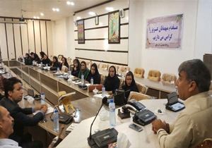 برگزاری80کارگاه آموزشی فعالان صنایع دستی تاپایان امسال
