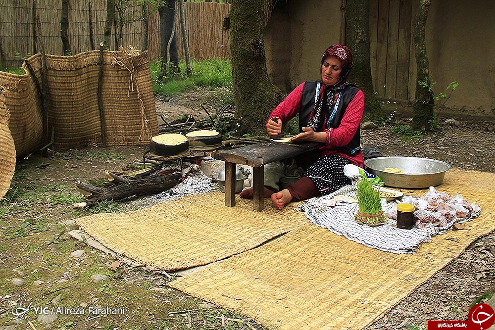 عکس هایی که بوی زندگی می دهد