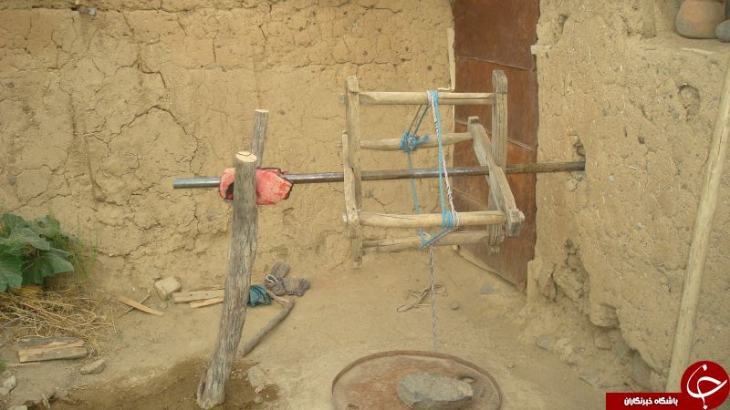 عکس هایی که بوی زندگی می دهد