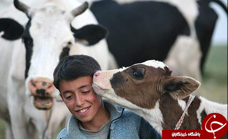 عکس هایی که بوی زندگی می دهد