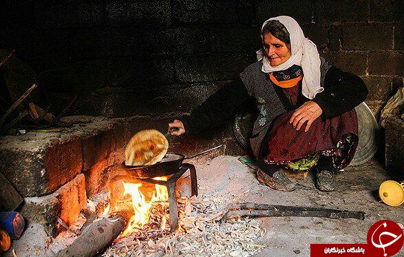 عکس هایی که بوی زندگی می دهد