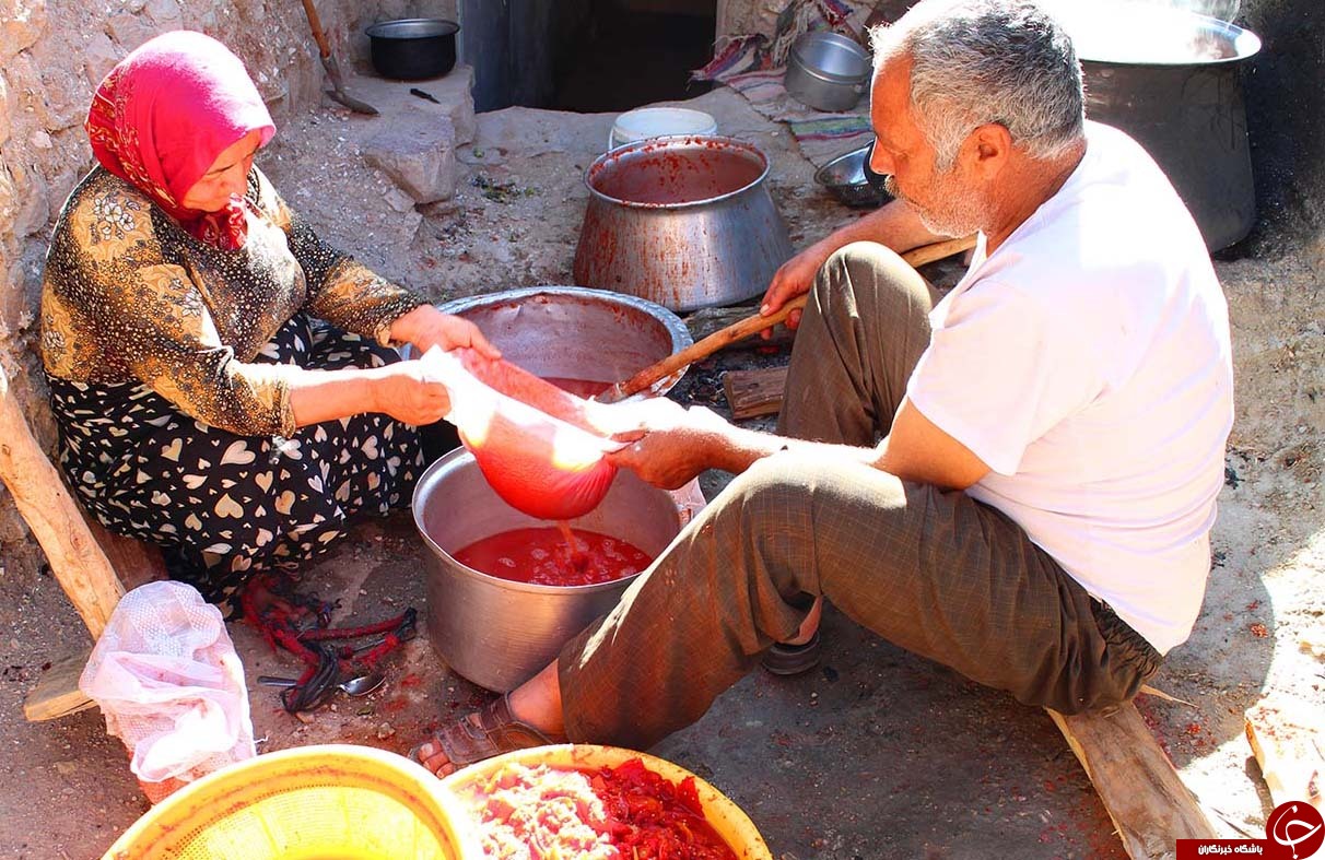 عکس هایی که بوی زندگی می دهد