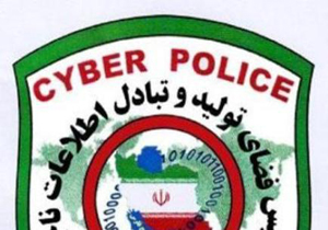 عامل دستبرد به پنج هزار حساب بانکی در فضای مجازی دستگیر شد