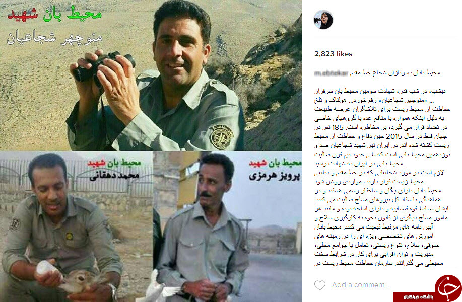 واکنش چهره ها و هنرمندان به درگذشت محیط بانان +اینستاپست