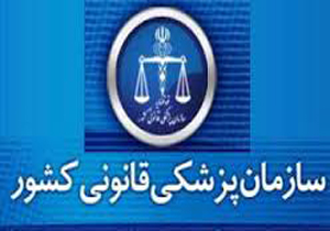 آمار سربازان قربانی در حادثه نی ریز 13 تن است