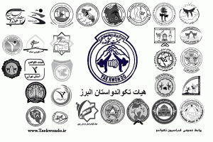 نتایج ارزیابی سالانه هیات تکواندو استان&zwnj;های کشور اعلام شد