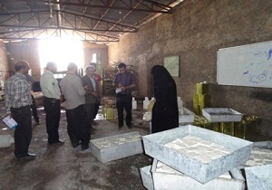 پلمب یک کارگاه تولید پنیرغیر بهداشتی