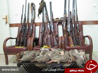 قصه پر غصه مرگ محیط&zwnj;بانان به صفحه 119 رسید/ &laquo;قانون حمایت از محیط&zwnj;بانان&raquo; همچنان معطل &laquo;لایک&raquo; مسئولان محیط زیست!