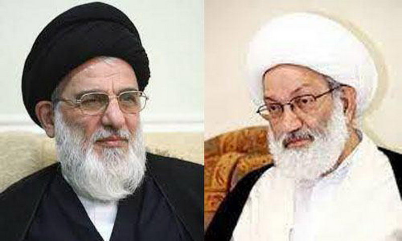 هر کاری برای دفاع از آیت الله عیسی قاسم انجام می&zwnj;دهم