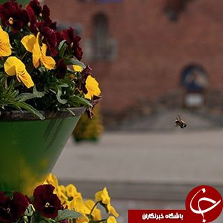 تصاویر دیدنی از ایسنتاگرام نشنال جئوگرافی