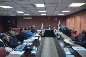 گودرزی : رئیس جمهور  در جریان روند اماده سازی کاروان های ایران برای بازیهای ریو قرار دارد