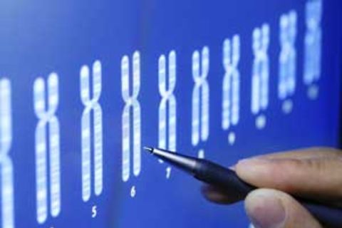 افتتاح حساب با وجه خون و DNA