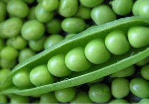 نخود فرنگی را در سبد غذایی قرار دهید